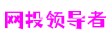 网投领导者